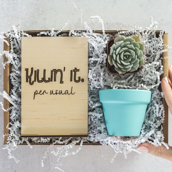 Add a touch of green to their space with a 'Killin' It' Succulent Gift Box - a stylish graduation gift.