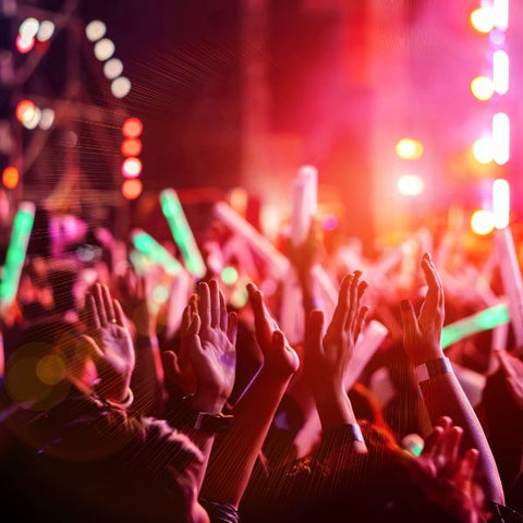 Crowd cheering at a live music event for an energetic adult birthday party.