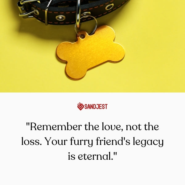 Comfort friends with heartfelt dog quotes loss, a legacy of love eternal.