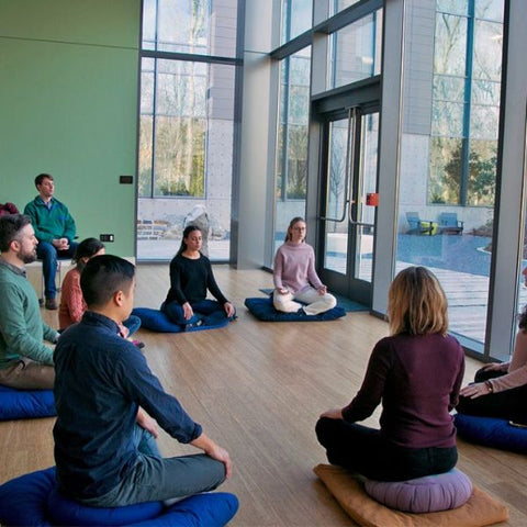 Participants in a calm meditation and mindfulness session in a modern space.