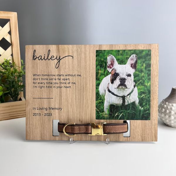 Personalized pet memorial wooden photo frame with collar holder, a tribute to a furry friend.