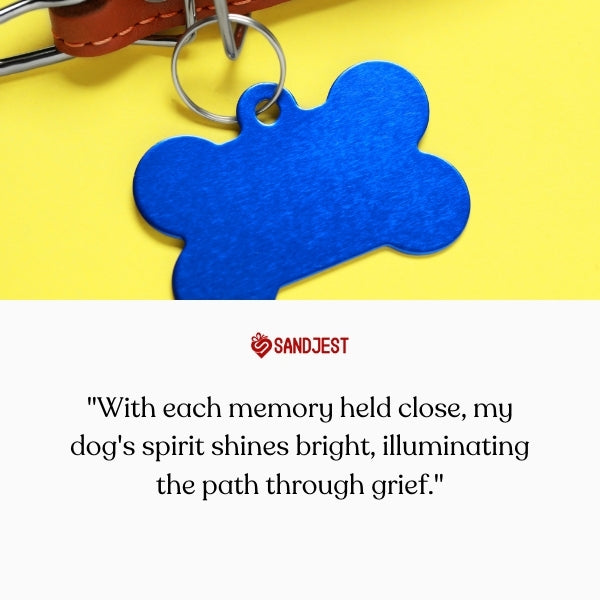 Memorial quotes for loss of dog reflect on memories illuminating paths.