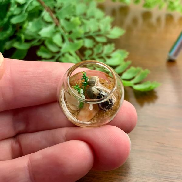 Miniature Turtle Terrarium Diorama, a tiny world of wonder for turtle gifts.