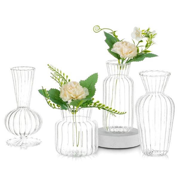 Modern Clear Glass Bud Vase Set, an exquisite and versatile gift for your girlfriend's floral arrangements.