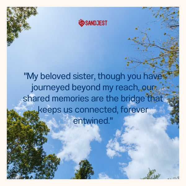 Read our most touching messages that express the unspoken words to a sister who has passed away.