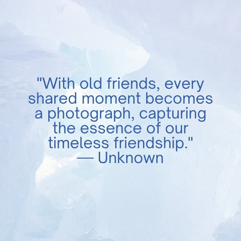 A quote about old friends and the timelessness of shared moments captured like photographs.