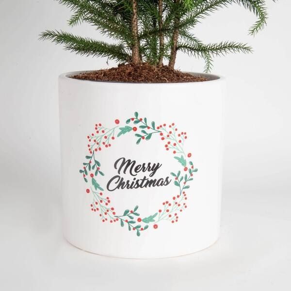 Personalized Christmas Plant Pot christmas gifts for coworker