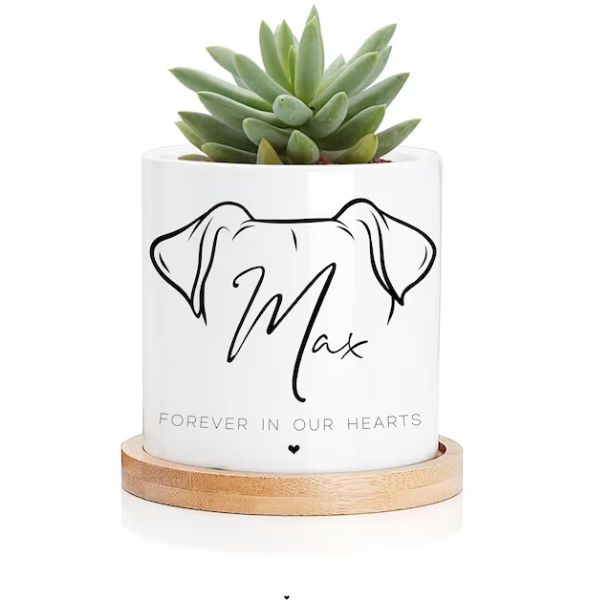White personalized pet memorial planter on a bamboo base, a tribute to a beloved animal.