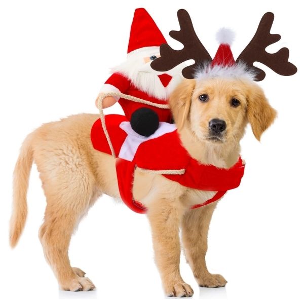 Pet Christmas Clothes christmas gift for dog mom