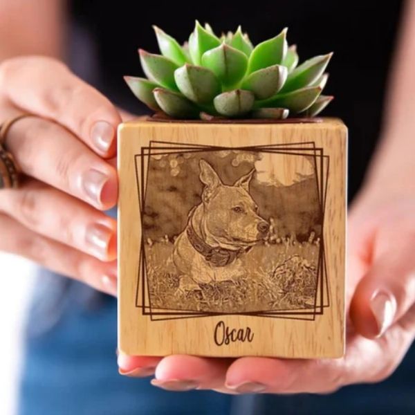 Pet Photo Succulent Pots christmas gift for dog dad