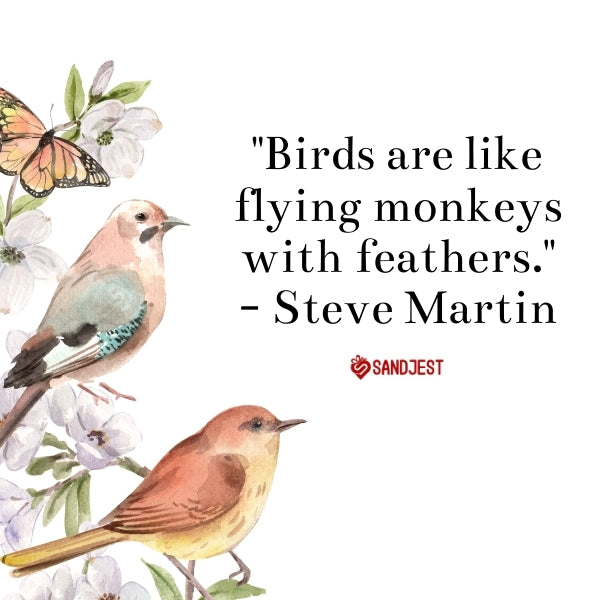 Two painted birds accompanying a Steve Martin quote about avian charm.