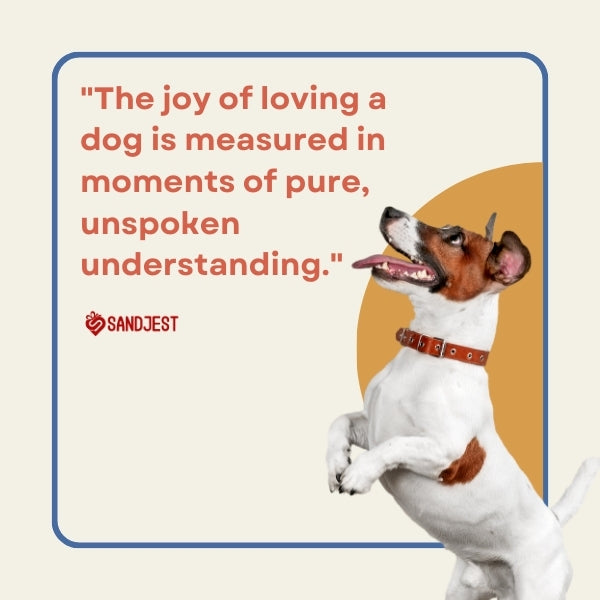 Joyful Jack Russell Terrier exemplifying the pure love for a pet dog.