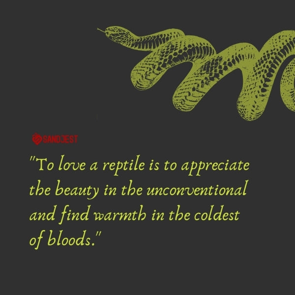 Artistic rendering of a snake with a quote about the love for reptiles