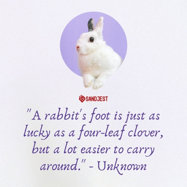 White rabbit juxtaposed with a luck-themed quote by an unknown author.
