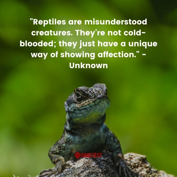 Iguana paired with a quote on the misunderstood affection of reptiles