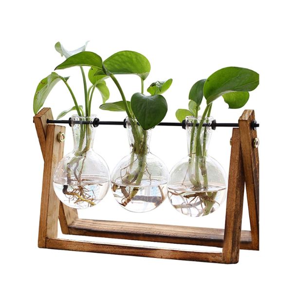 A beautifully crafted Plant Terrarium with a Wooden Stand is a ideal as gifts for mom from daughter