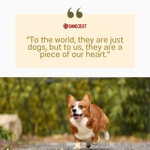 Happy Corgi signifies the heart in quotes for a dog lover.