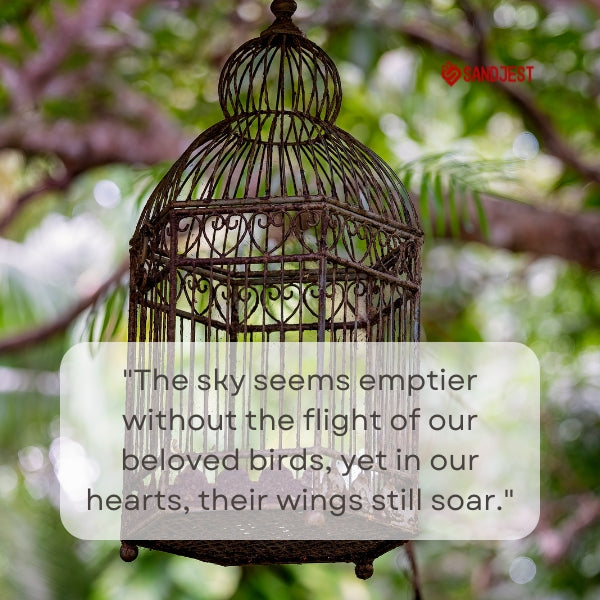 Birdcage amidst greenery with a Sandjest quote on loss.