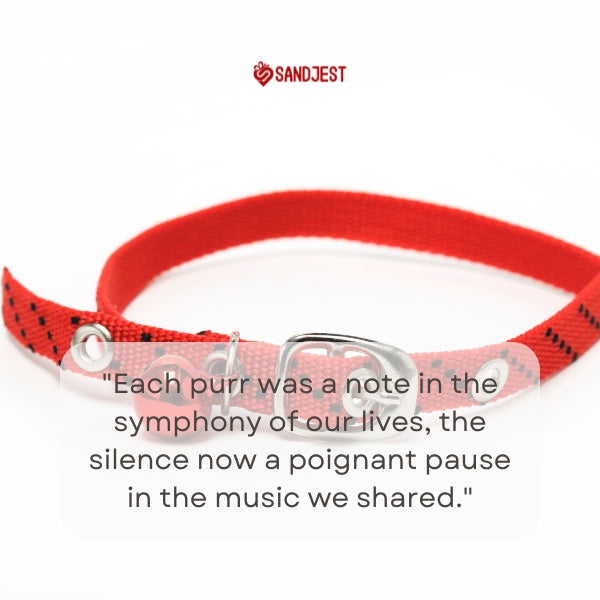 Red pet collar representing the loss of a cat with a Sandjest quote.