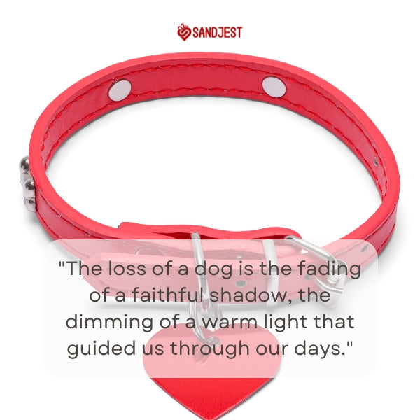 Red dog collar with a Sandjest quote on the loss of a dog.
