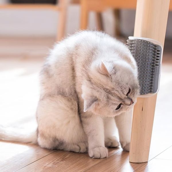 Let your cat enjoy a relaxing self-grooming session with our convenient wall-mounted cat brush