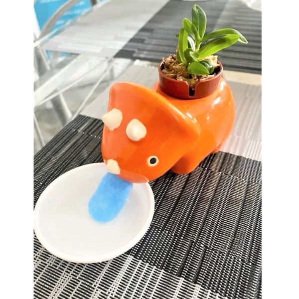 Self-Watering Dinosaur Planters for Him, a whimsical way to add greenery to any space, a distinctive choice from the range of Funny Gifts for Boyfriends.