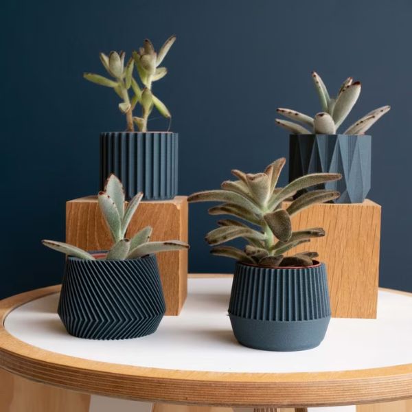 Set of 4 Small Indoor Planters – unique and vibrant gifts for women on International Women's Day.