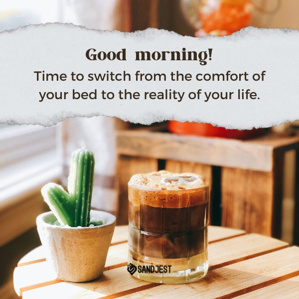 Iced coffee next to a cactus with a playful Sandjest good morning quote on life's reality.
