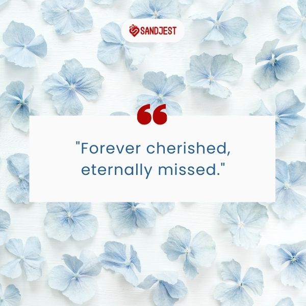Blue hydrangeas softly accentuate the depth of emotion in these Short Memorial Quotes.