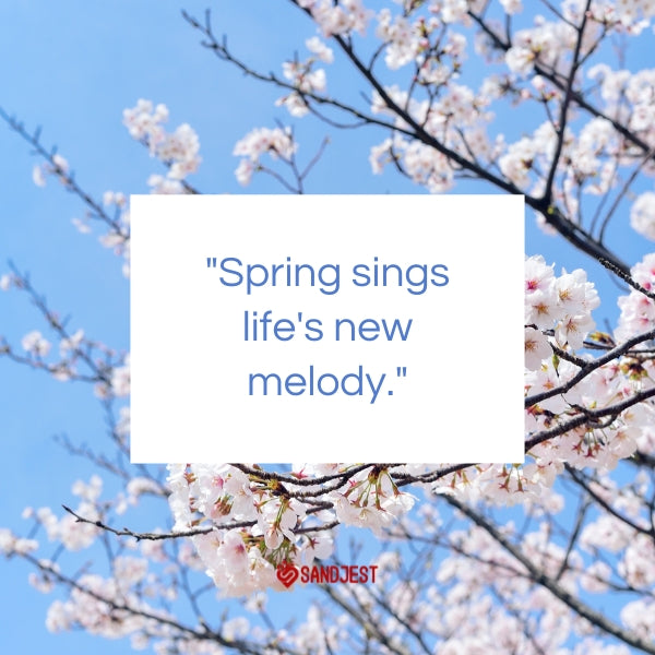 A close-up of spring blossoms pairs with a succinct quote, mirroring Sandjest's expertise in crafting short spring quotes.