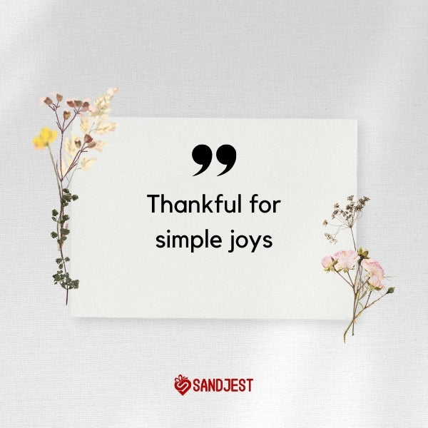 Feel the essence of short thankful quotes in every heartfelt word