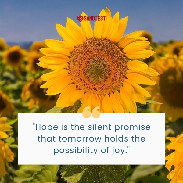A single sunflower against a blue sky embodies a short hope quote about the joy that awaits us.