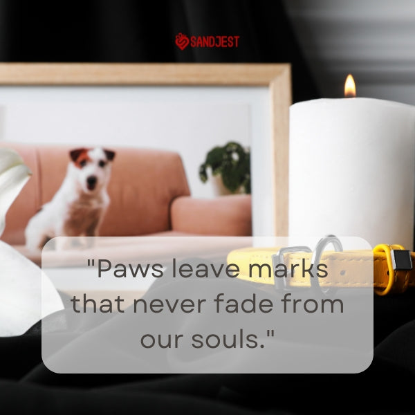Candle by a dog's photo symbolizing pet loss with a Sandjest quote.