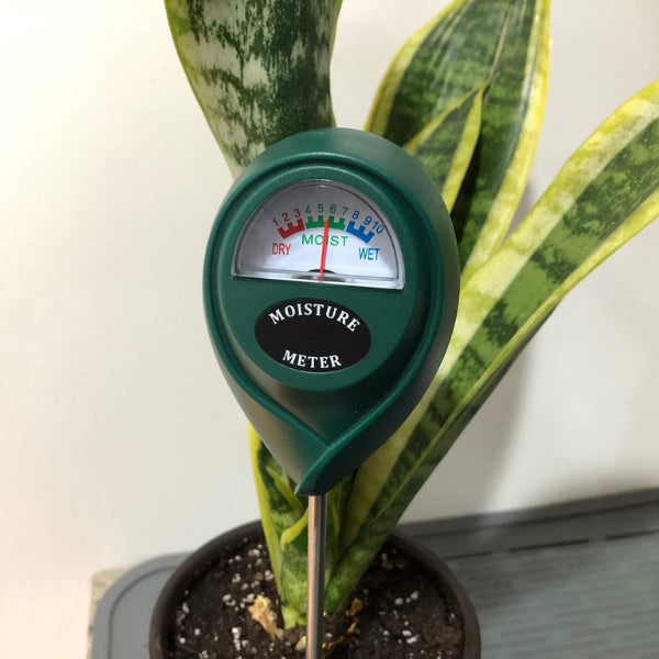 Soil moisture gauge for ensuring optimal watering, a valuable and thoughtful gardening gift for moms passionate about healthy plants