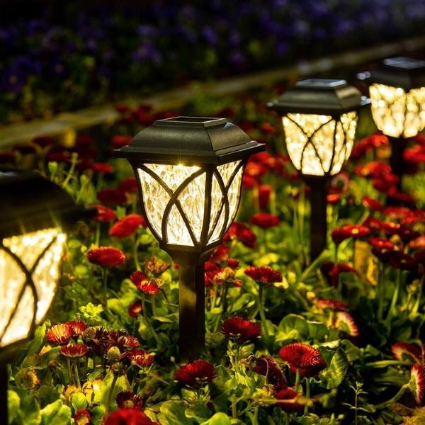 Solar-powered Garden Lights, lighting up mom's garden with eco-friendly and enchanting illumination.