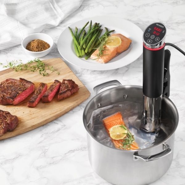 Sous Vide Precision Cooker christmas gifts for wife