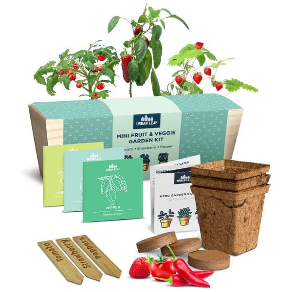Starter Kit for an Urban Leaf Herb Garden, a green and eco-friendly Mother's Day gift for daughters.