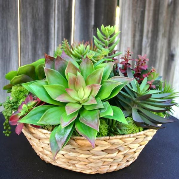 Serenity in a basket - a succulent arrangement, a thoughtful Mother's Day gift choice.