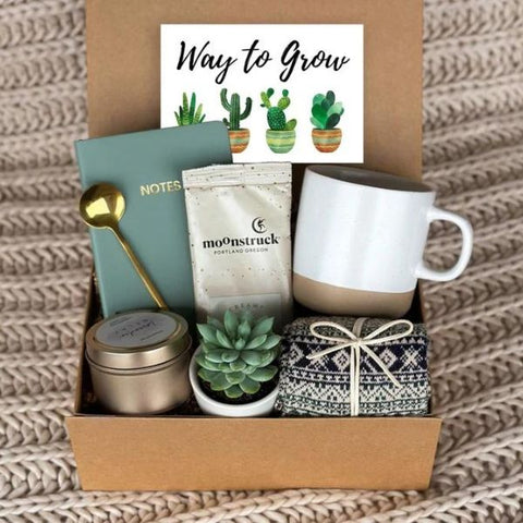 Succulent Gift Box, a low-maintenance and green new job gift