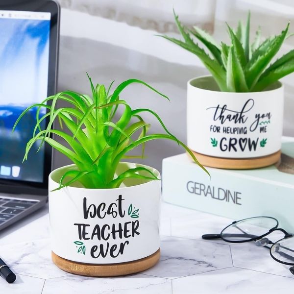 Succulent Pots for a natural and serene teacher appreciation gift.