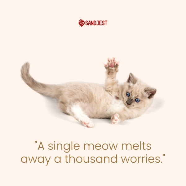 A kitten lying back and playfully reaching out, accompanied by a heartwarming quote.