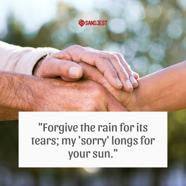 'Forgive the rain' metaphor in a sorry message for its healing effect.