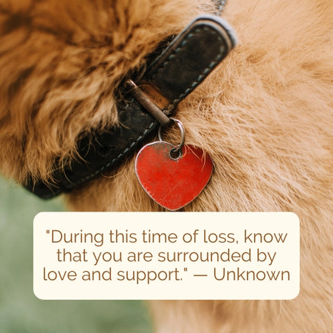 Sympathy message for loss of dog quote with a picture of a dog's collar and tag.