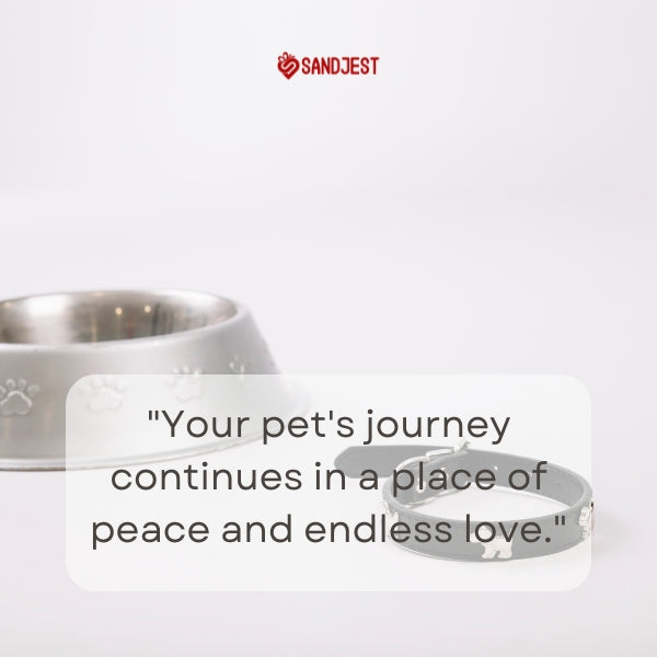 Pet bowl and collar with a Sandjest sympathy saying.