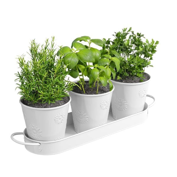 THE GARDEN FORK Farmhouse Kitchen Window Planter Box, a charming valentines gift for mom's green thumb.