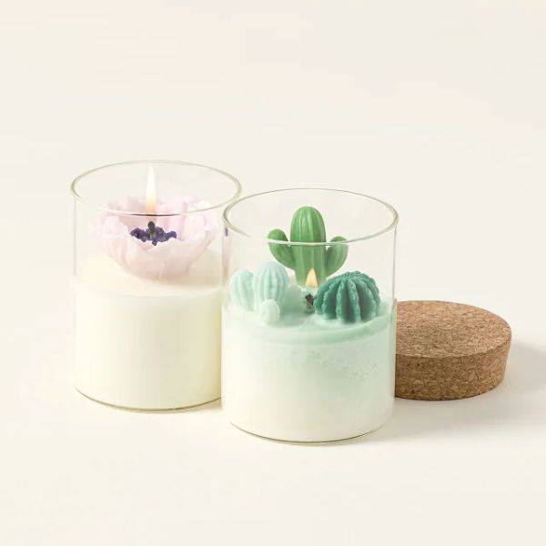 Terrarium Candle with a captivating design, an enchanting best friend gift for home ambiance.