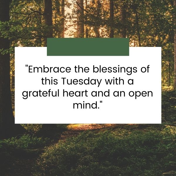 Embrace gratitude with these thankful and blessings Tuesday quotes