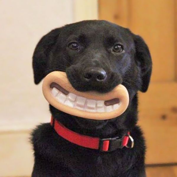 The Funny Dog Toy christmas gift for dog mom