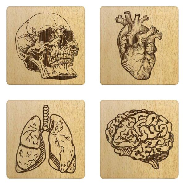 Geeky Days' Set of 4 Wooden Human Anatomy Coasters, a unique and artistic gift for doctors with a passion for science.