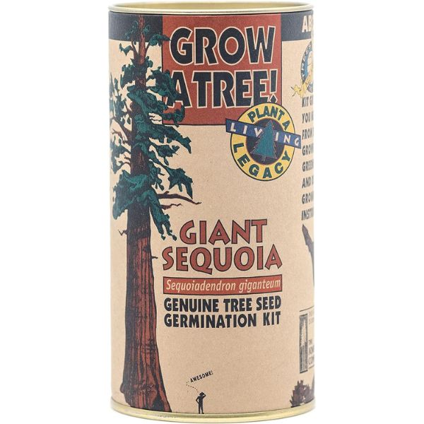 Educational tree-growing kit, inspirational gardening gift for eco-friendly dads.
